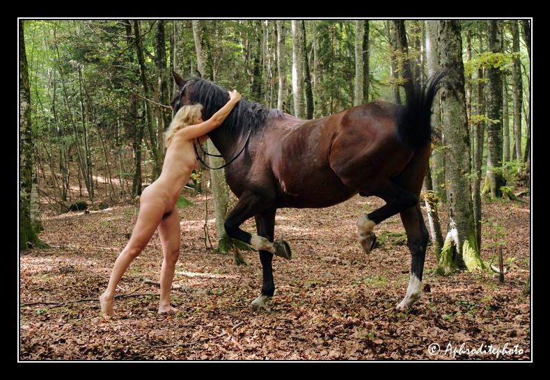 004 Maestro, mon amour de cheval 2